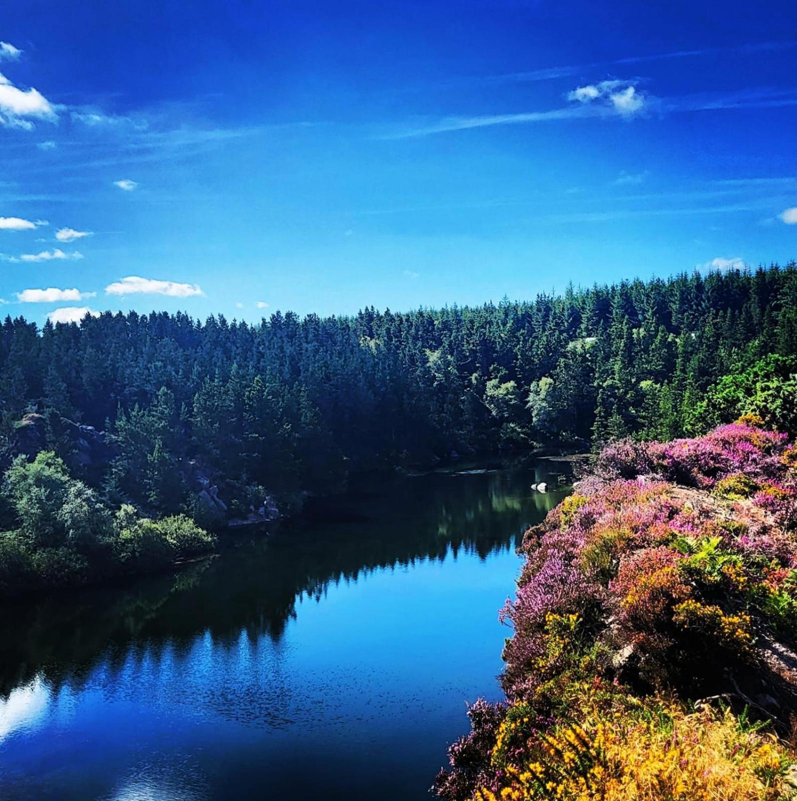 Forth Mountain Glamping Ballintlea Bagian luar foto